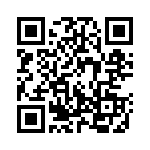 130228 QRCode