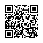 130534 QRCode