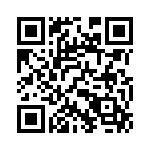 132101 QRCode