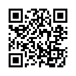 132113 QRCode