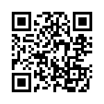 132117 QRCode