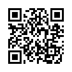 132118RP QRCode