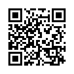 132131 QRCode