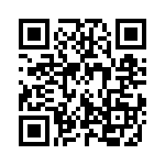 132169RP-RP QRCode
