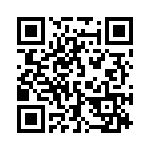 132174 QRCode