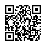 132289RP QRCode