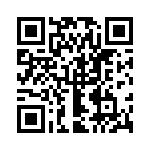 132291 QRCode