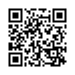 132318 QRCode