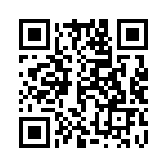 14310613101000 QRCode