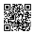 1613520 QRCode