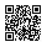 1618999 QRCode