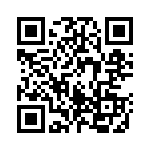 163007 QRCode