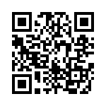 165X13239X QRCode