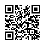 167L55 QRCode