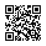 1691131300 QRCode