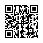 169131011303 QRCode