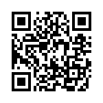 17063082203 QRCode