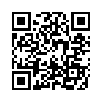 170993-1 QRCode