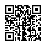 1731070171 QRCode