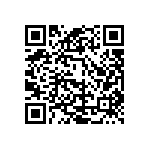 178-025-613R671 QRCode