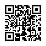 1787290000 QRCode