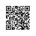 179-009-313R691 QRCode