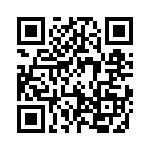 19300160666 QRCode