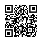 19300240666 QRCode