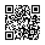 19300241271 QRCode