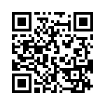 19398100545 QRCode