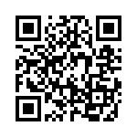 19400060413 QRCode