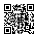 19410009901 QRCode