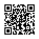 19410245407 QRCode