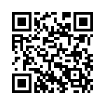 19628061290 QRCode