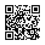 1N5369BG QRCode