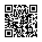 1PMT4099-TR13 QRCode