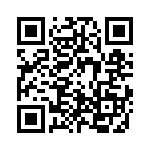 2-1393243-3 QRCode