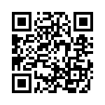 2-1705300-1 QRCode