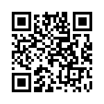 20101600021P QRCode