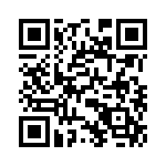 22-4513-10T QRCode