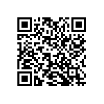 2225J0250333MXT QRCode