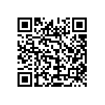 2225J2500333MXR QRCode