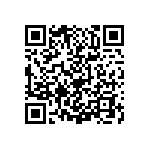 2225Y0250271KCR QRCode