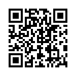 242A28040X QRCode