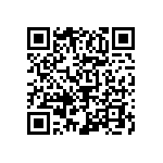2455RM-81290041 QRCode