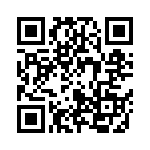 251R14S820JV4T QRCode