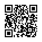 25P QRCode