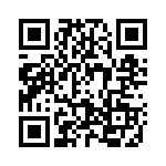 2900100 QRCode