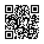 2904272 QRCode