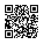 2905067 QRCode